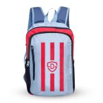 30 L, Red and Silver striped day/ laptop/college bag.