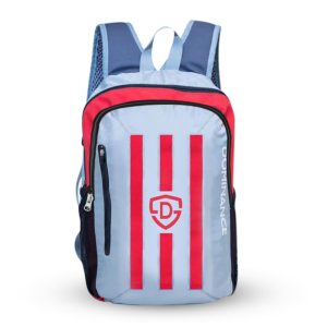 30 L, Red and Silver striped day/ laptop/college bag.