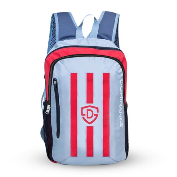 30 L, Red and Silver striped day/ laptop/college bag.