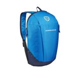 10-L Dominance Marmot Backpack