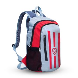 30 L, Red and Silver striped day/ laptop/college bag.