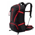 Dominance Backpack