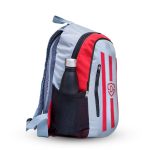 30 L, Red and Silver striped day/ laptop/college bag.