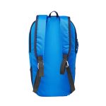 10-L Dominance Marmot Backpack