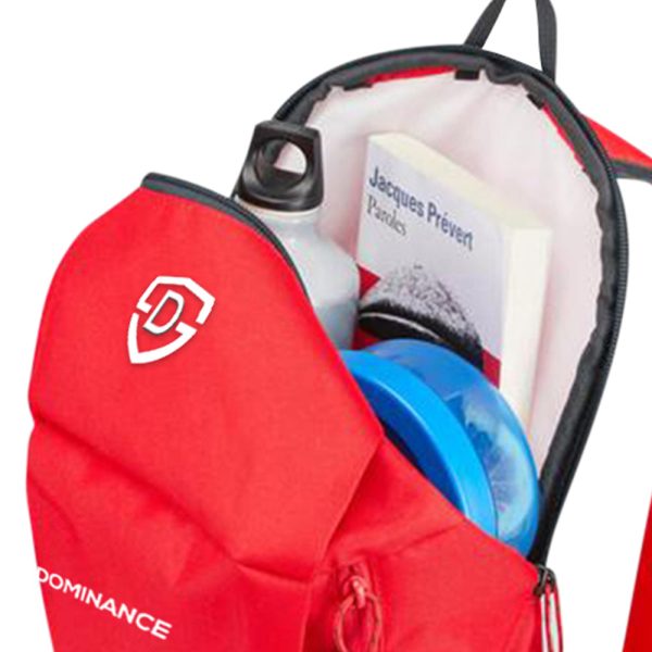 Backpacks in pakistan