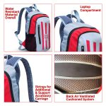 30 L, Red and Silver striped day/ laptop/college bag.