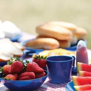 Campers Tableware (4 pack)