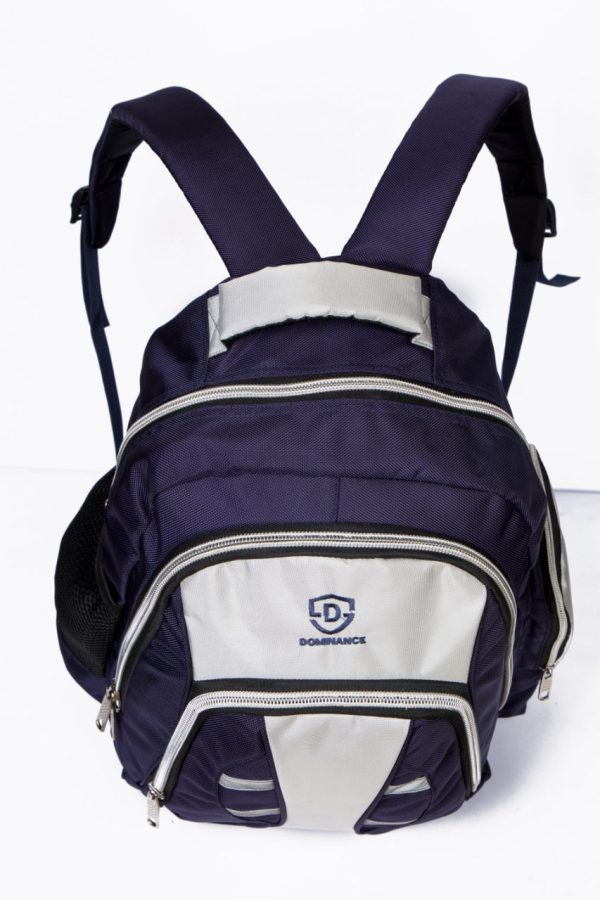 30 L, small lightweight Blue and Grey day/school/college/laptop bag/backpack.